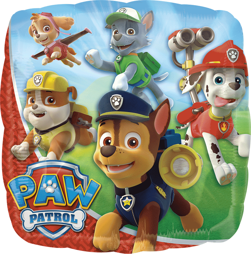 18" Paw Patrol S60