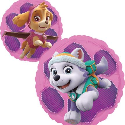 18" Paw Patrol Skye & Everest