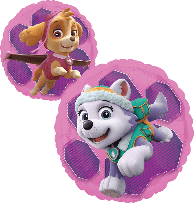 18" Paw Patrol Skye & Everest